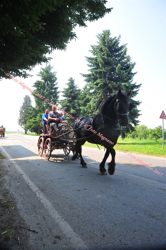 DSC_0875.JPG